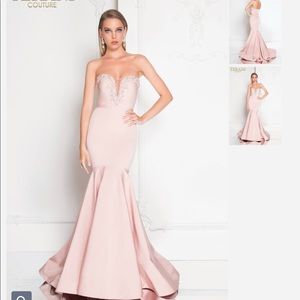 Terani Blush Sweetheart Gown